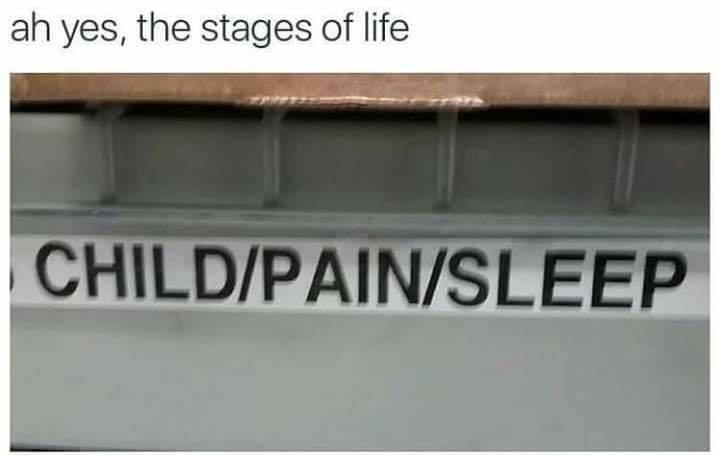 Las etapas de la vida.