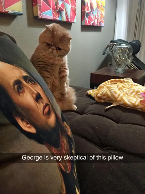 «George es muy escéptico con esta almohada».